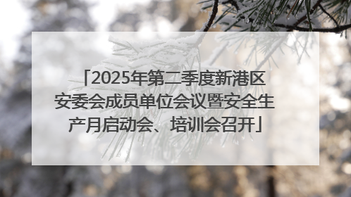 2025年第二季度新港区安委会成员单位会议暨安全生产月启动会、培训会召开