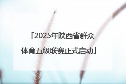 2025年陕西省群众体育五级联赛正式启动