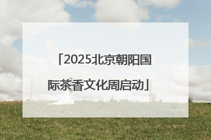 2025北京朝阳国际茶香文化周启动
