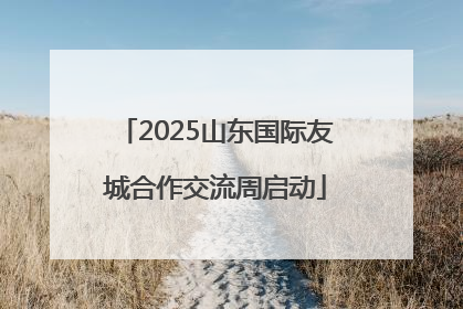 2025山东国际友城合作交流周启动