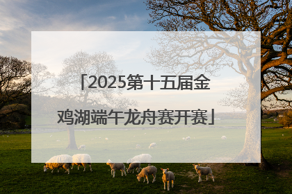 2025第十五届金鸡湖端午龙舟赛开赛