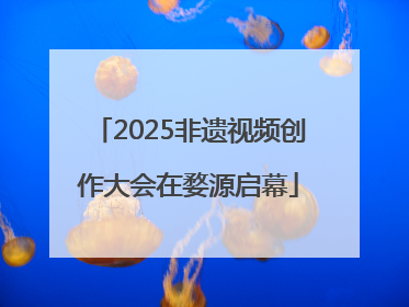 2025非遗视频创作大会在婺源启幕