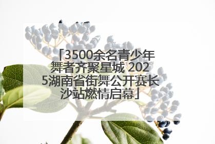 3500余名青少年舞者齐聚星城 2025湖南省街舞公开赛长沙站燃情启幕