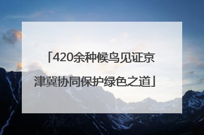 420余种候鸟见证京津冀协同保护绿色之道