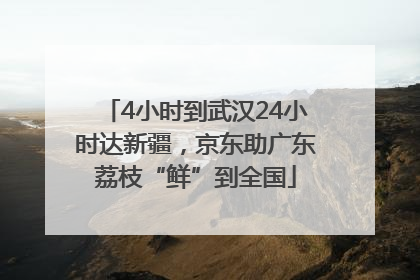 4小时到武汉24小时达新疆，京东助广东荔枝“鲜”到全国