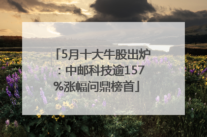5月十大牛股出炉：中邮科技逾157%涨幅问鼎榜首