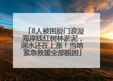 8人被困厦门浪漫海岸线红树林淤泥，潮水还在上涨！当地紧急救援全部脱困