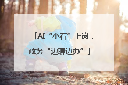 AI“小石”上岗，政务“边聊边办”