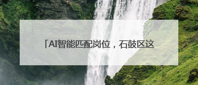 AI智能匹配岗位，石鼓区这样为高校毕业生“职引未来”