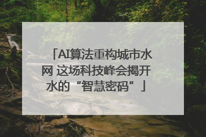 AI算法重构城市水网 这场科技峰会揭开水的“智慧密码”