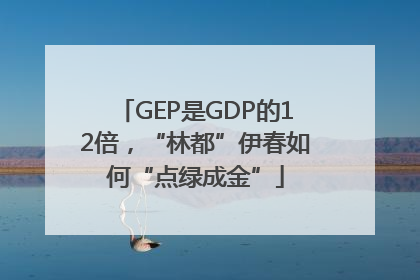 GEP是GDP的12倍，“林都”伊春如何“点绿成金”