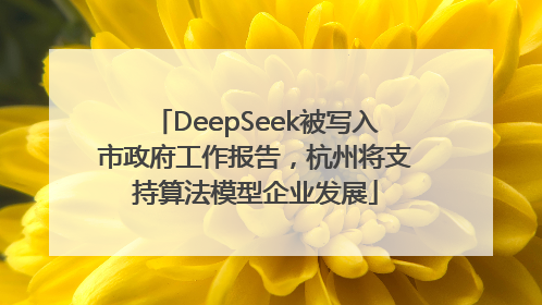DeepSeek被写入市政府工作报告，杭州将支持算法模型企业发展