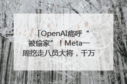OpenAI痛呼“被偷家”！Meta一周挖走八员大将，千万美元薪酬战开打