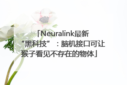 Neuralink最新“黑科技”：脑机接口可让猴子看见不存在的物体
